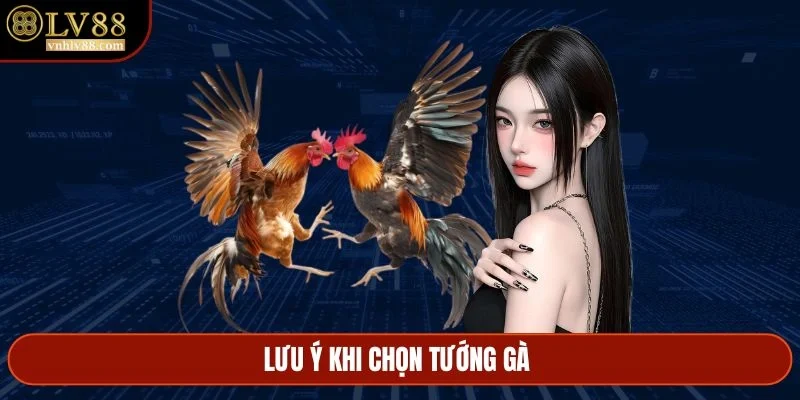 Lưu ý khi chọn tướng gà 